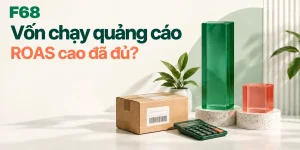 Vốn chạy quảng cáo — ROAS cao đã đủ?; minh họa F68